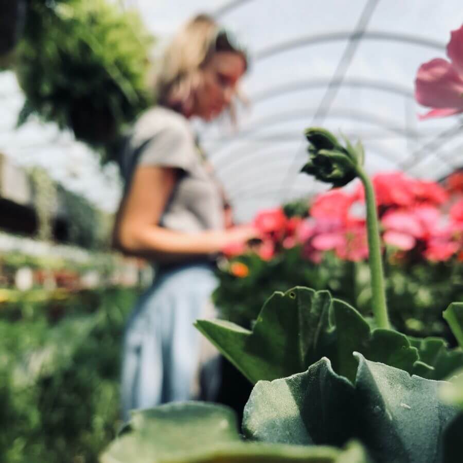 woman caring for flowers